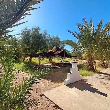 מחמיד Jardin Du Desert מראה חיצוני תמונה