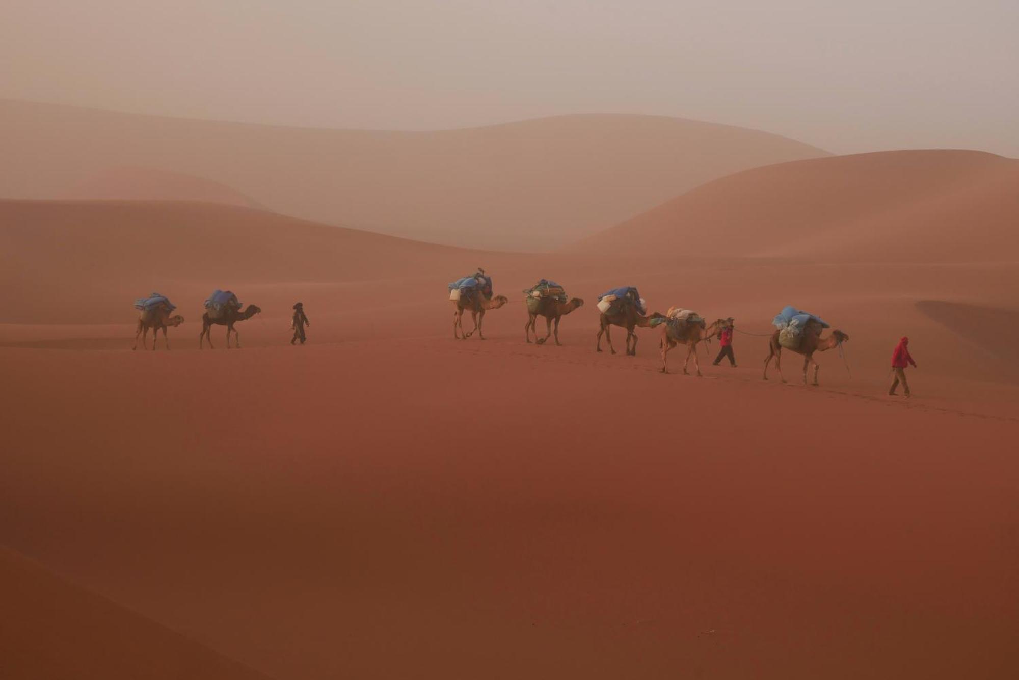 מחמיד Jardin Du Desert מראה חיצוני תמונה
