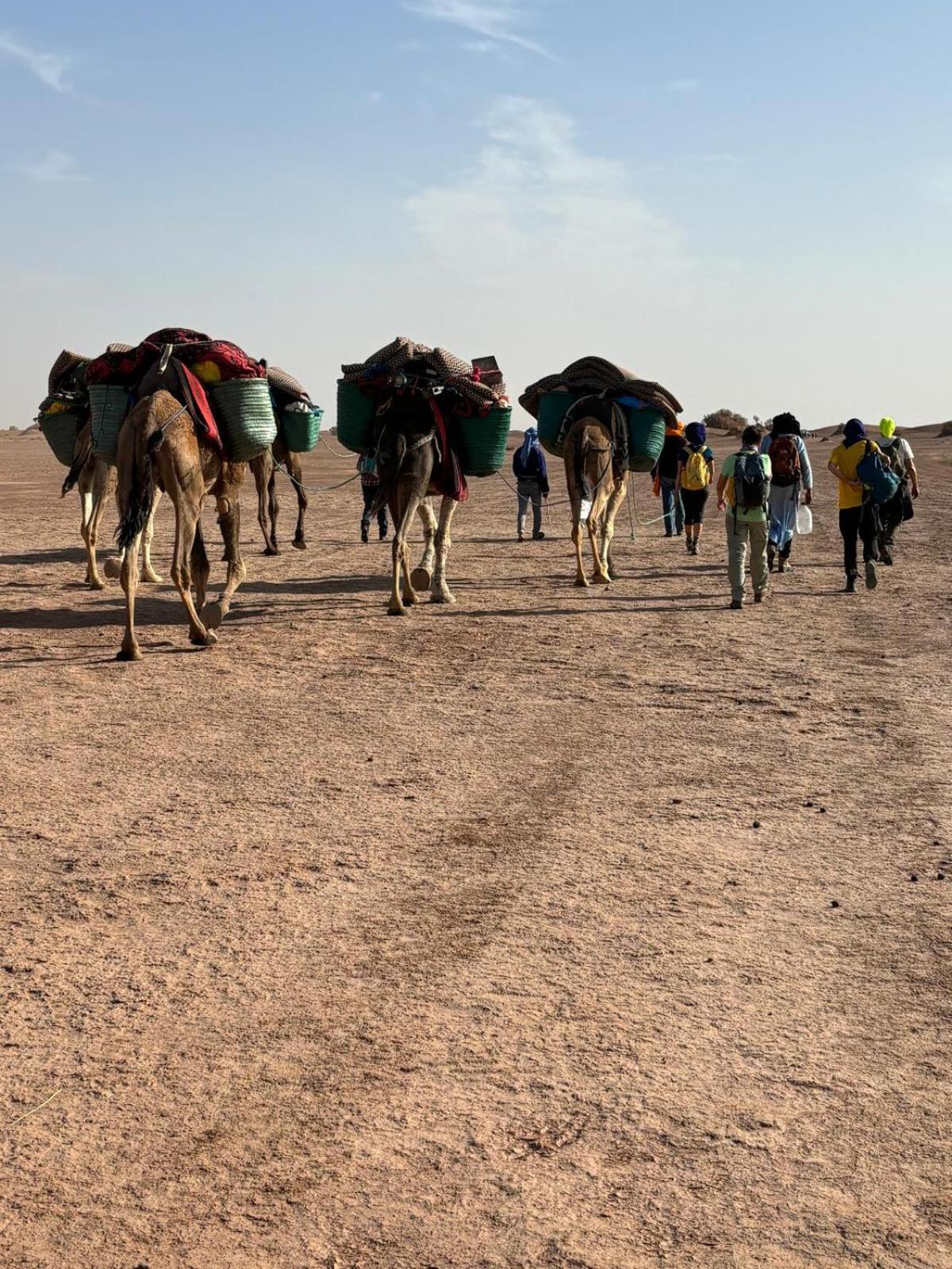 מחמיד Jardin Du Desert מראה חיצוני תמונה