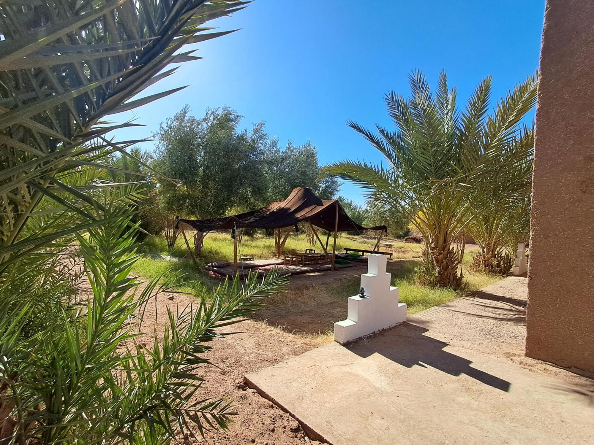מחמיד Jardin Du Desert מראה חיצוני תמונה